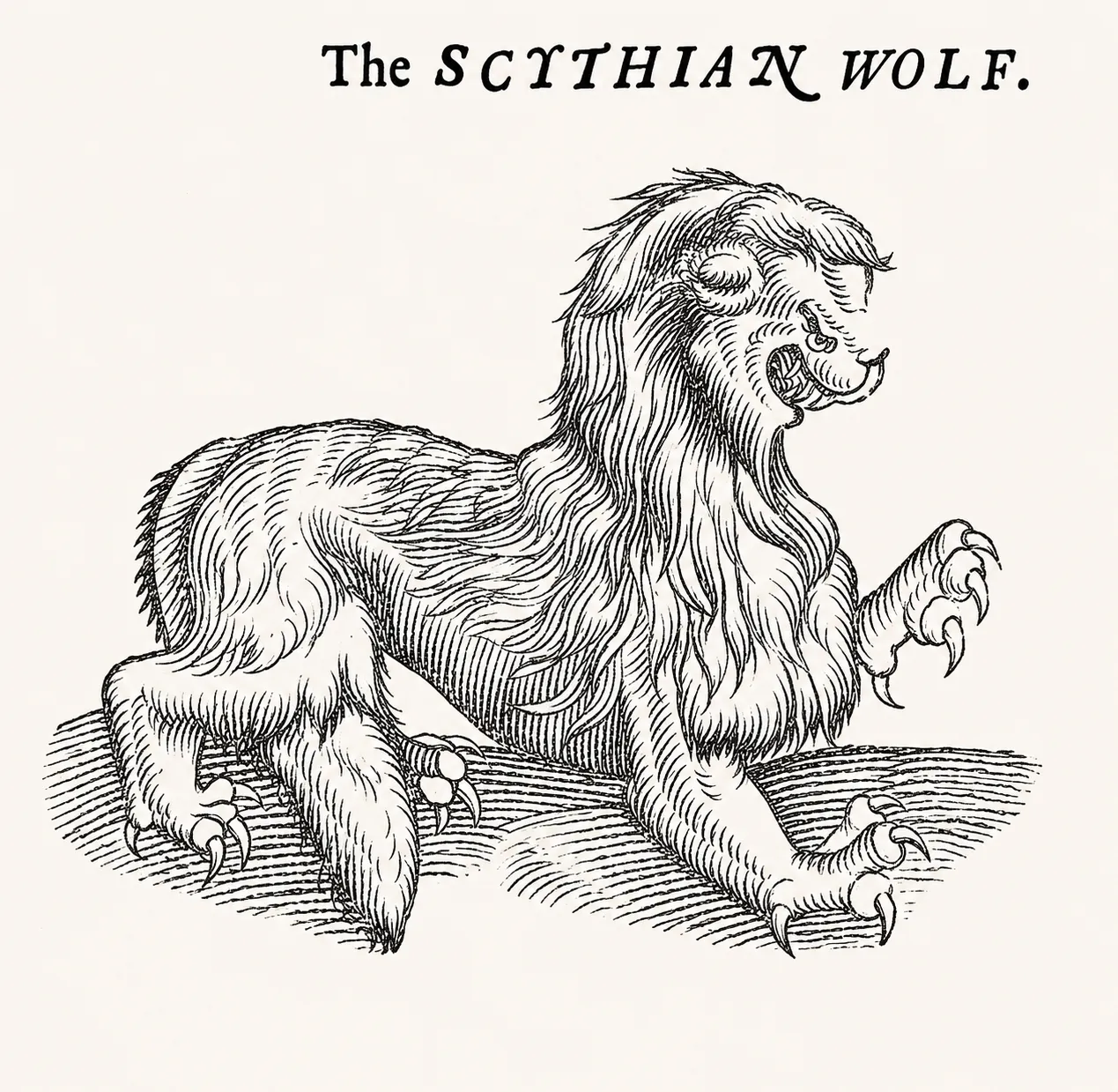 A woodcut of a Scythian Wolf roaring.